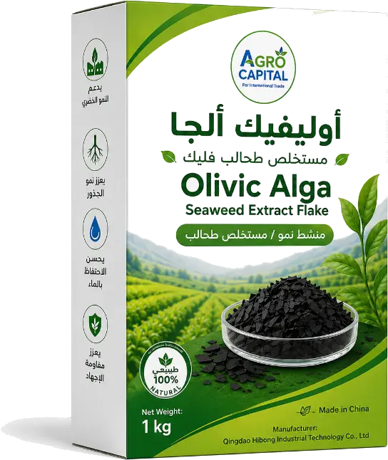 Olivic Alga