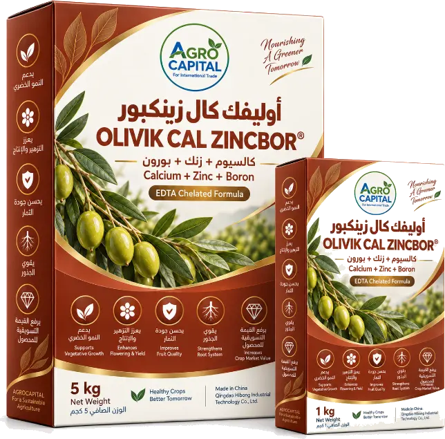 Olivic Cal Zincbor