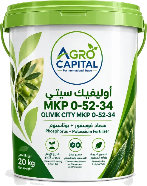 Olivic City MKP 0-52-34